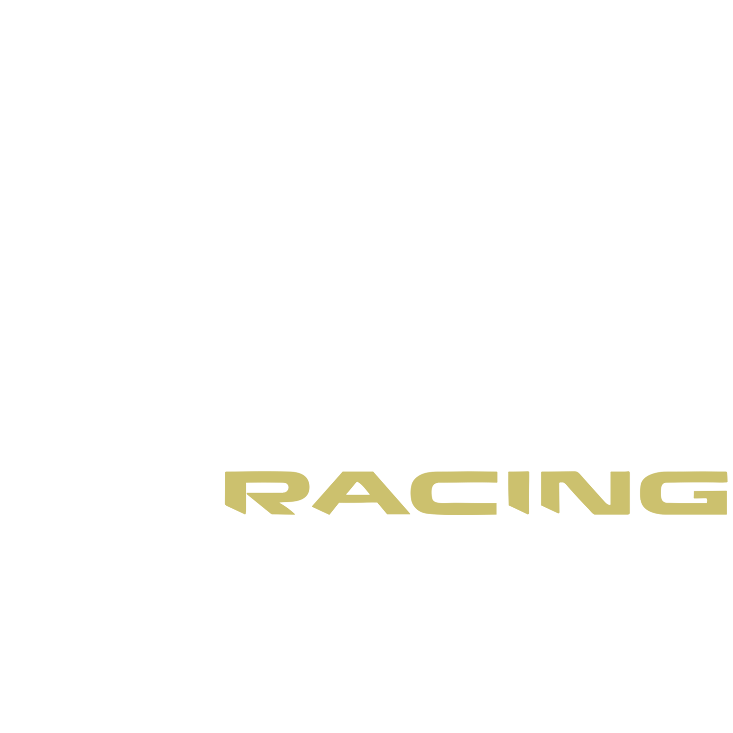 Logo de Aprilia