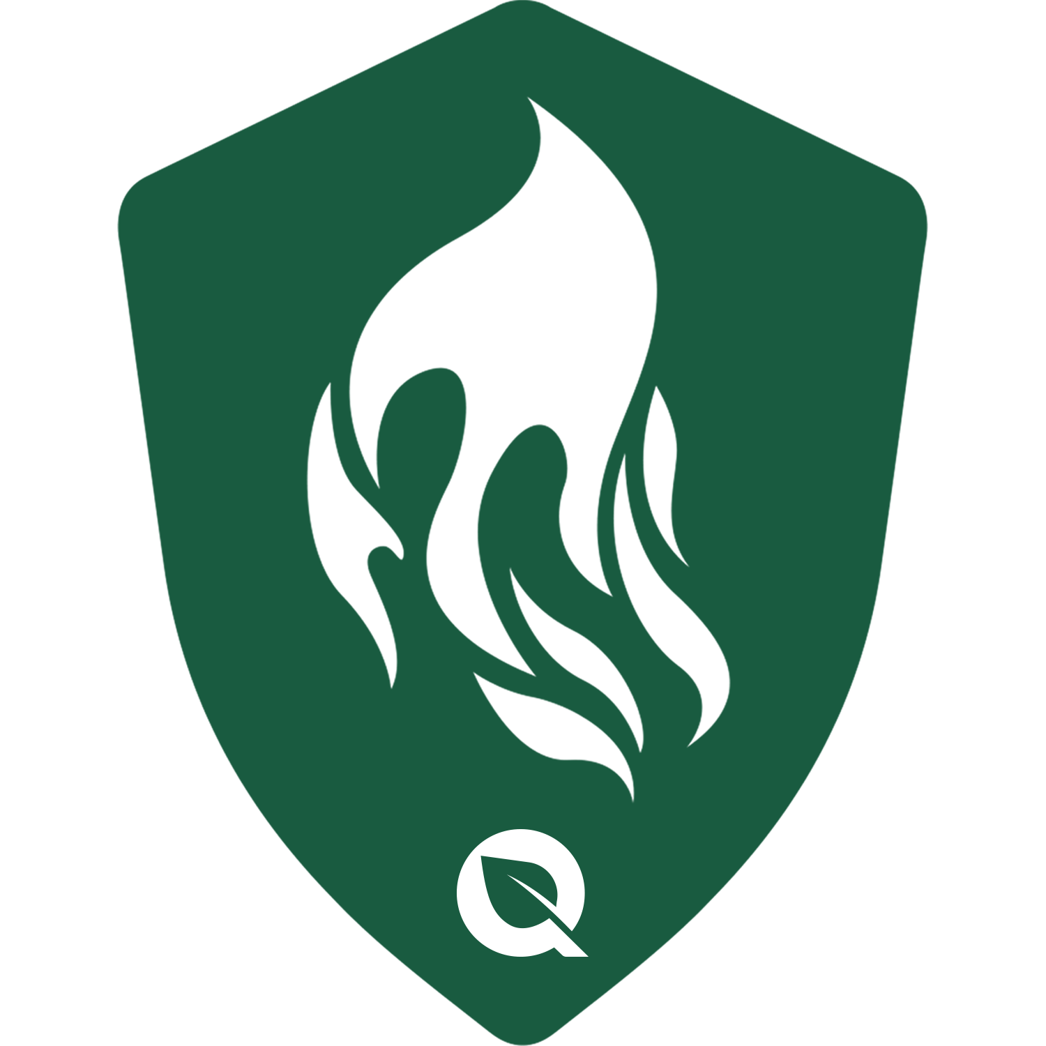 FlyQuest HM Racing