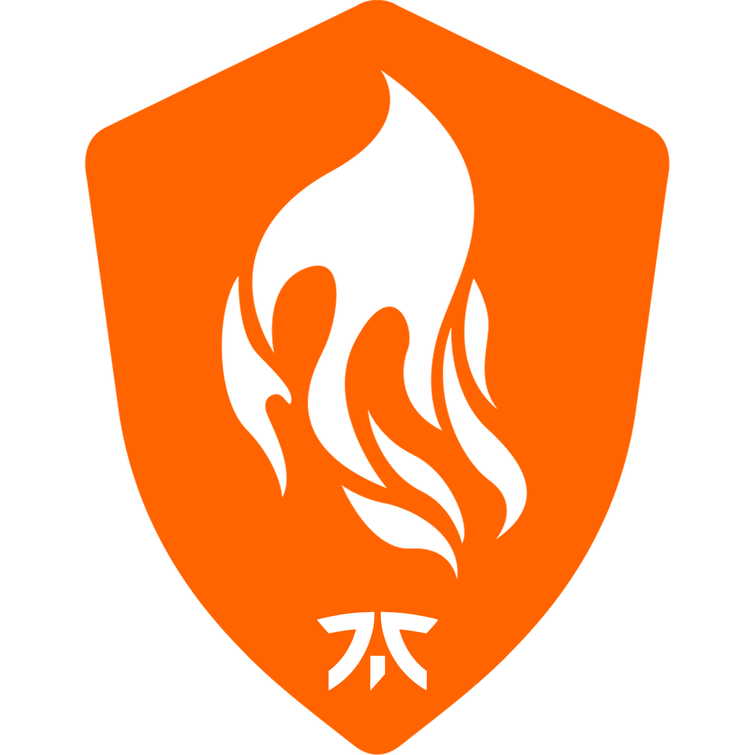 Logo de Fnatic HM Racing