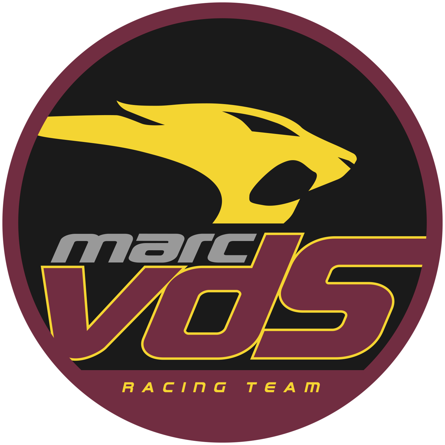 Logo de VDS