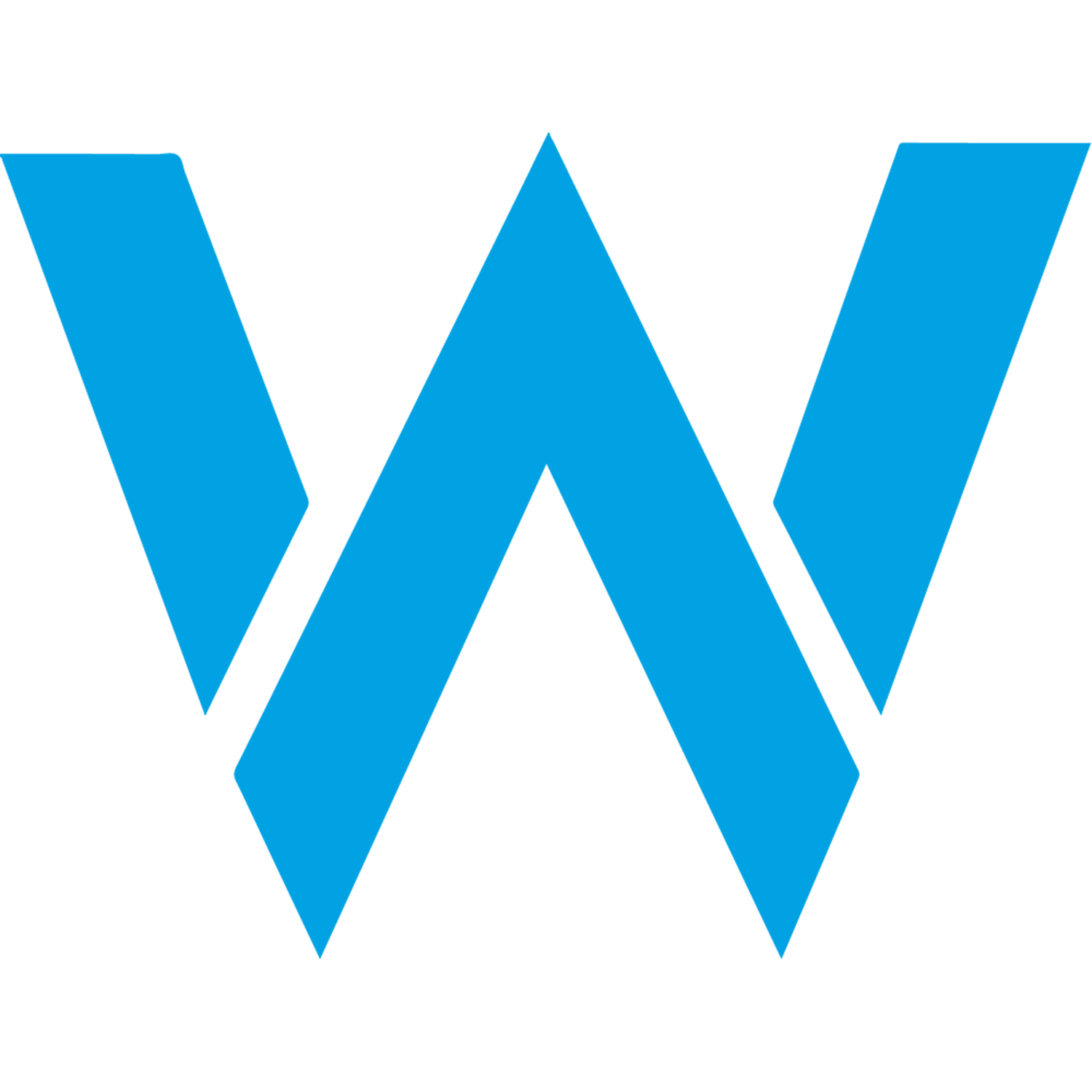 Williams BMW
